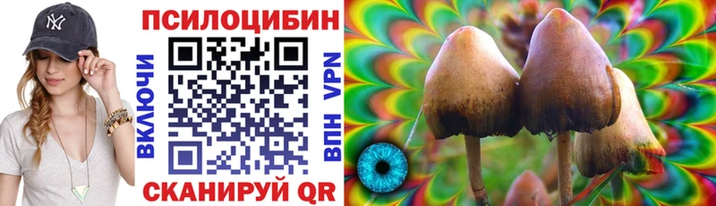 Псилоцибиновые грибы ЛСД  Лахденпохья 