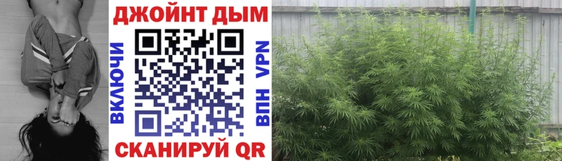 Канабис индика Лахденпохья